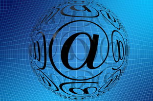 -中国篮球职业联赛青训体系创新发展模式分析，中国青年篮球队